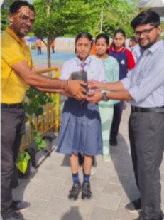 Tree Plantation
